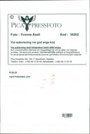 1997 TELEPHONE SWEDEN RESPONSIBLE IMAGE DELIVERY BLFS POET - Vintage Photograph