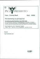 1997 TELEPHONE SWEDEN RESPONSIBLE IMAGE DELIVERY BLFS POET - Vintage Photograph