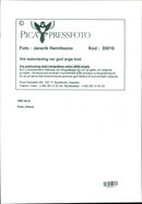 Peter Jöback, Swedish singer and musical artist. - Vintage Photograph