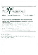 Pernilla Wiberg (Swe) - Vintage Photograph