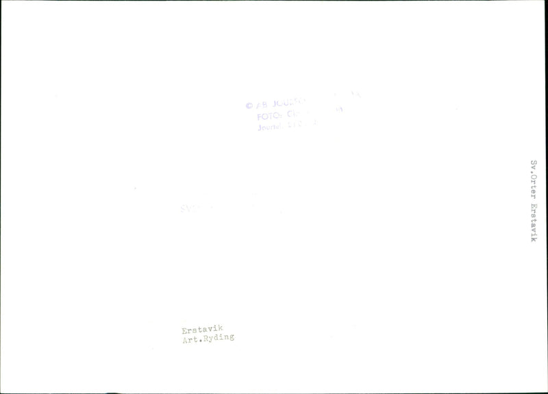 WANT PRESERVE NATURE WILDLIFE ENLARGE HABITANT TRAD SHRUBS UPFIRE TRUS - Vintage Photograph