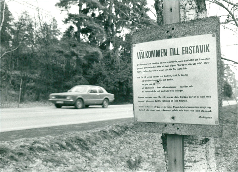 WANT PRESERVE NATURE WILDLIFE ENLARGE HABITANT TRAD SHRUBS UPFIRE TRUS - Vintage Photograph