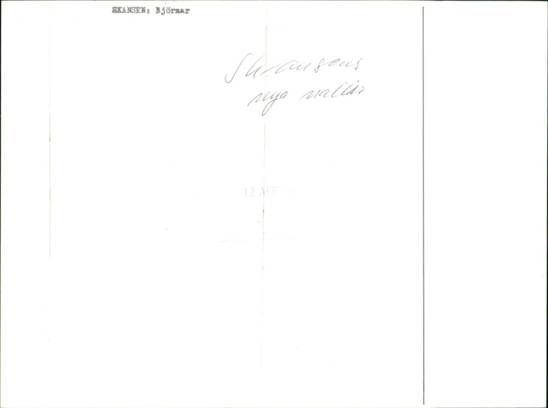 Skansen Bear - Vintage Photograph