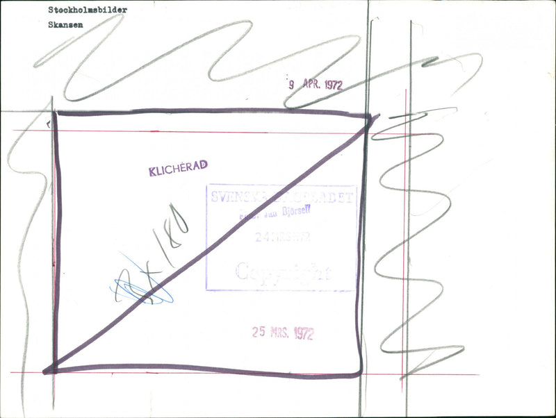 Skansen Bear - Vintage Photograph