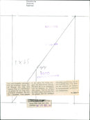 Skansen Bear - Vintage Photograph