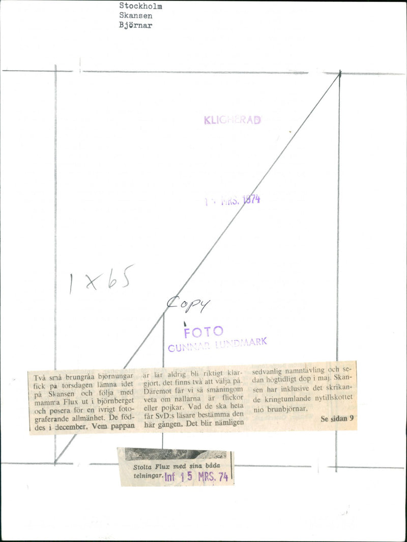 Skansen Bear - Vintage Photograph