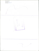 Skansen Bear - Vintage Photograph