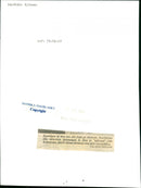 Skansen Bear - Vintage Photograph