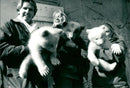Skansen Bear - Vintage Photograph