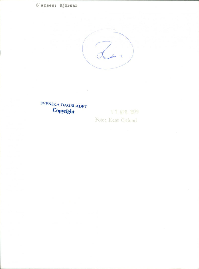 Skansen Bear - Vintage Photograph