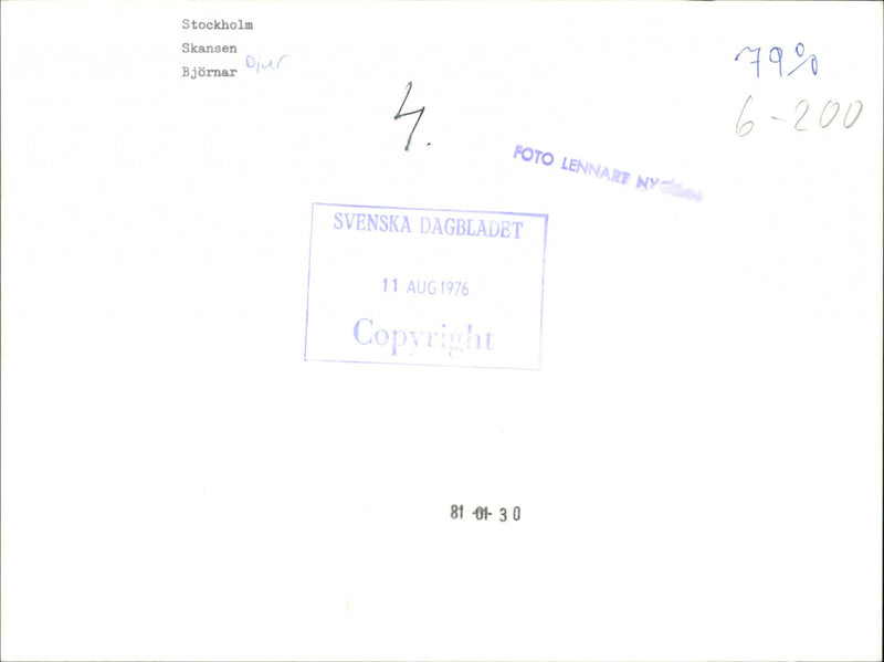 Skansen Bear - Vintage Photograph