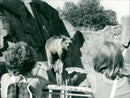Skansen Bear - Vintage Photograph