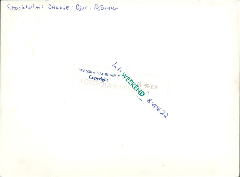 Skansen Bear - Vintage Photograph