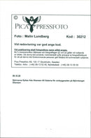 Skansen Bear - Vintage Photograph