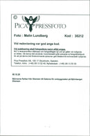 Skansen Bear - Vintage Photograph