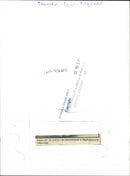 1983 PENGUINS ANIMALS INDICATED FIT YOUNG INR JUST AND LARGE NYGREN LENNART - Vintage Photograph