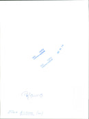 Elwe Nilsson, Politician. - Vintage Photograph