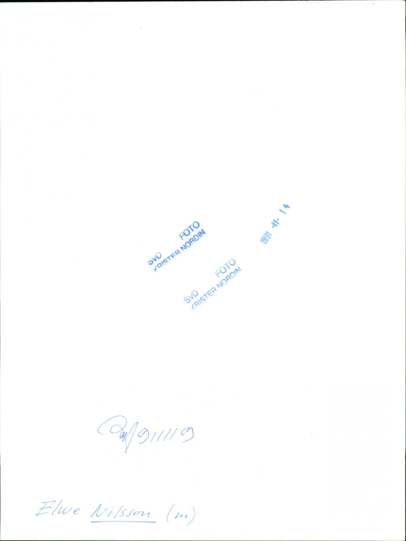 Elwe Nilsson, Politician. - Vintage Photograph