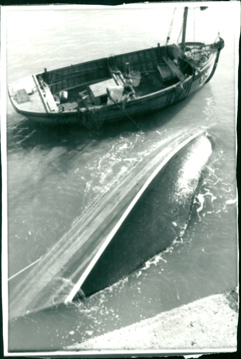 Edward Heath - Vintage Photograph