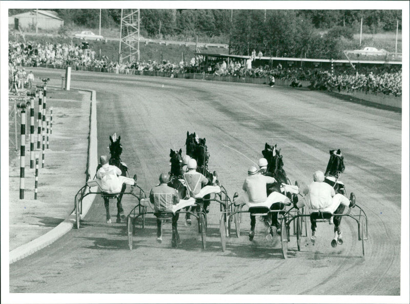 Equestrian - Vintage Photograph