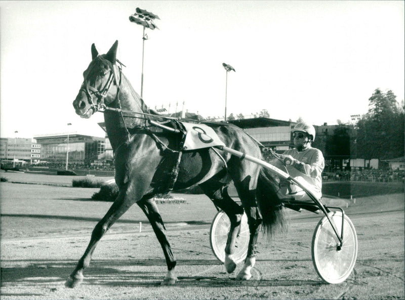 Utah Bulwark - Vintage Photograph