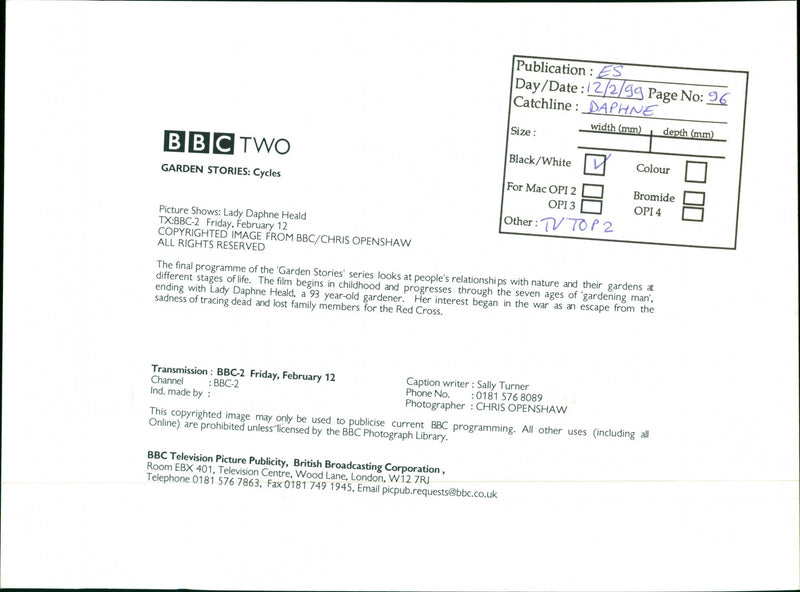 IMAGE BRITISH FILM WRITER TELEVISION - Vintage Photograph