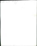 Dogs - Vintage Photograph