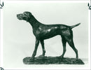 Dog II, 1980 by Dame Elisabeth Jean Frink - Vintage Photograph
