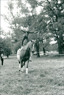 Voltige - Vintage Photograph