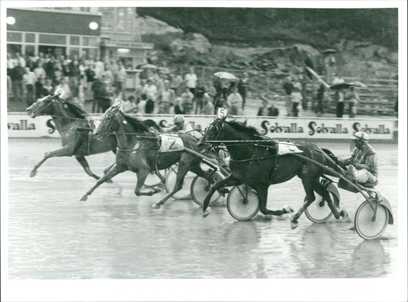 Equestrian - Vintage Photograph