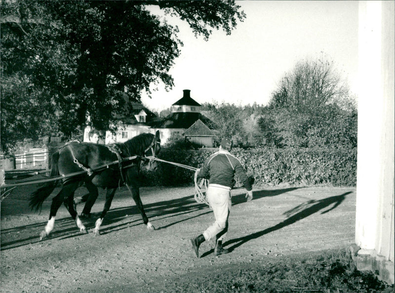 Equestrian - Vintage Photograph