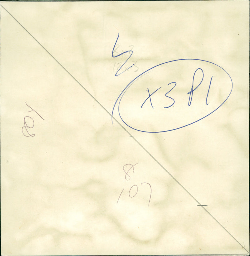 Margaret Thatcher, British Prime Minister - Vintage Photograph