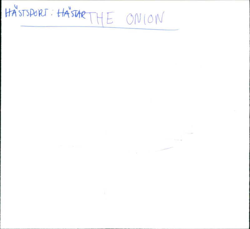 The Onion - Vintage Photograph