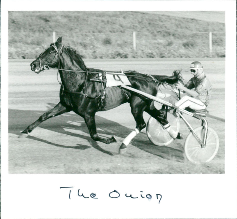 The Onion - Vintage Photograph