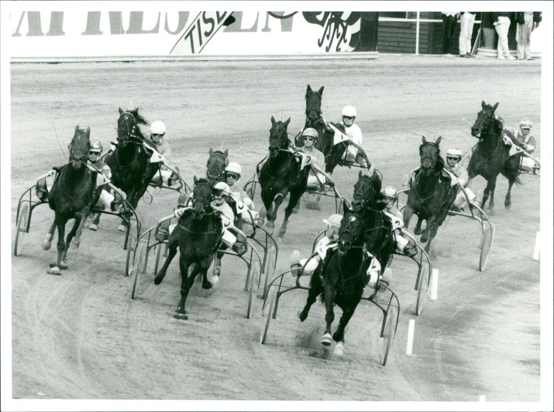 Equestrian - Vintage Photograph