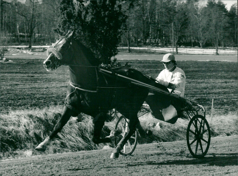 Stig H. Johansson - Vintage Photograph