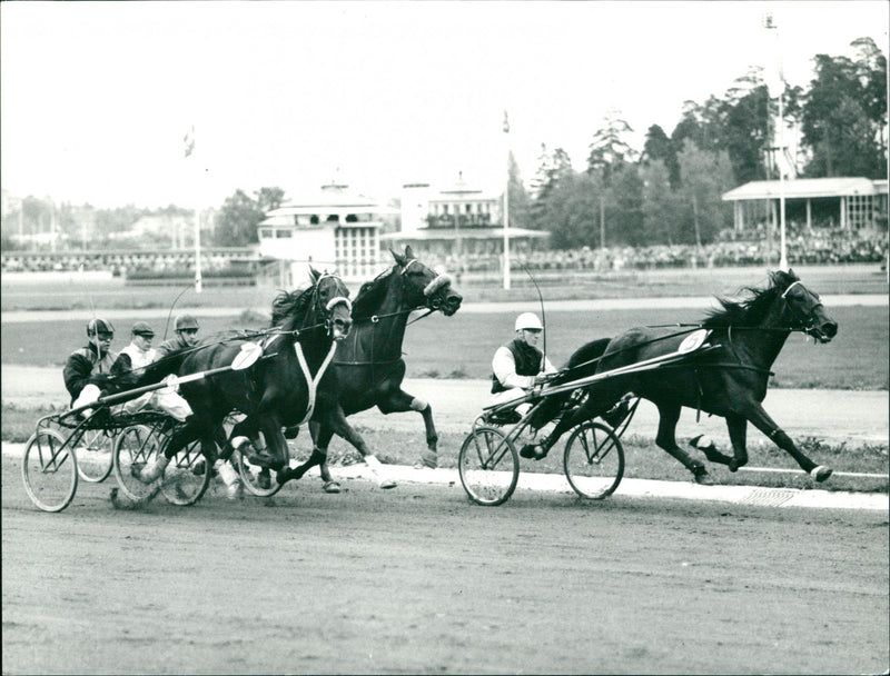 Equestrian - Vintage Photograph
