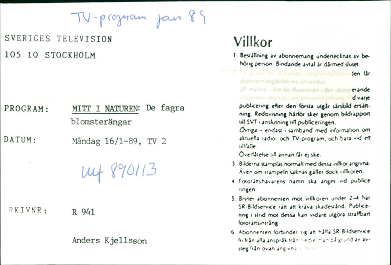 In the middle of nature: The beautiful flower meadows - Vintage Photograph