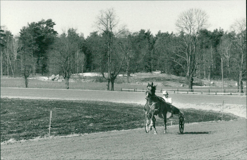 Stig H. Johansson - Vintage Photograph
