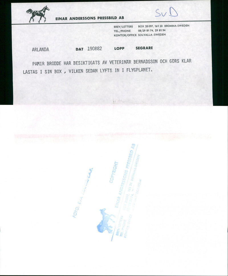 Pamir Brodde - Vintage Photograph