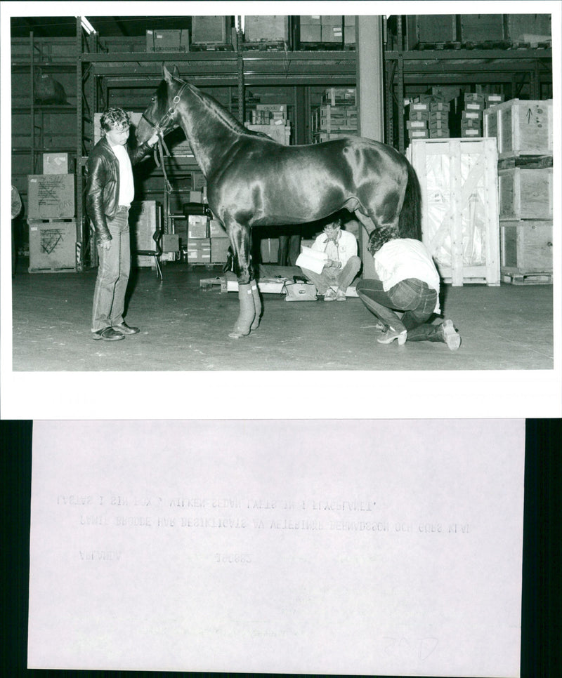 Pamir Brodde - Vintage Photograph