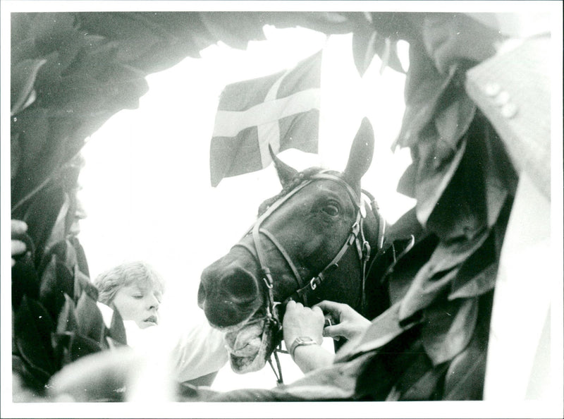 The Onion - Vintage Photograph