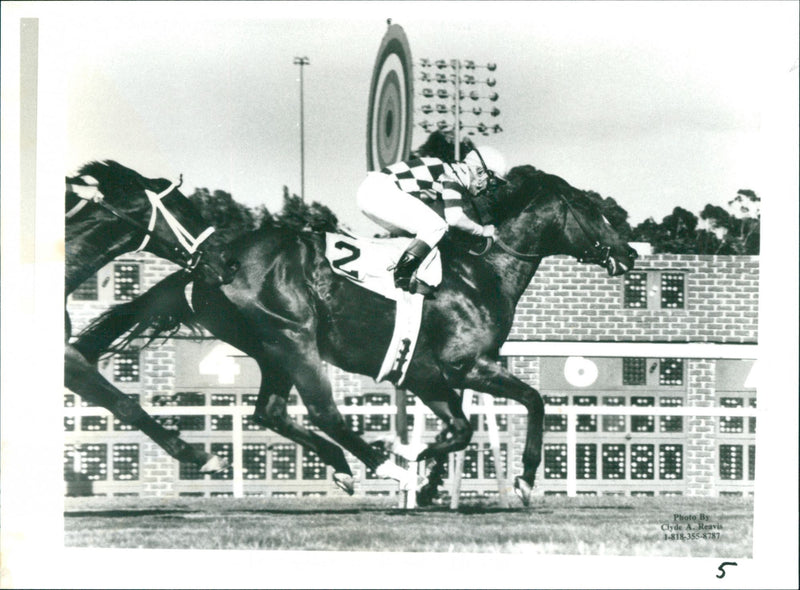 Willie Shoemaker - Vintage Photograph