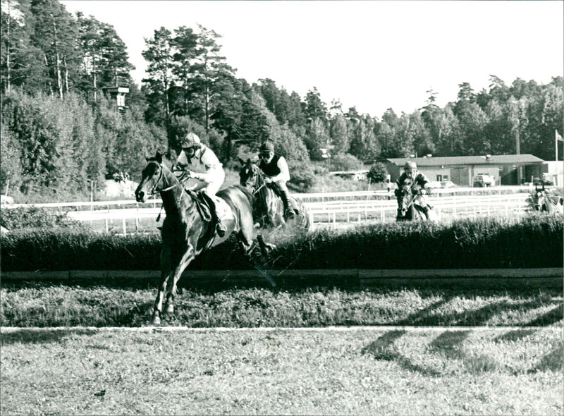 Alec McLaren, equestrian - Vintage Photograph