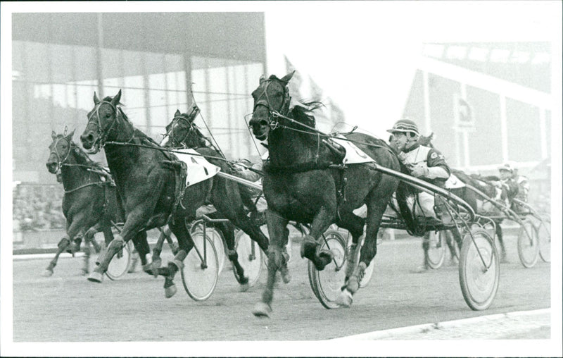GÃ¶ran E. Johansson - Vintage Photograph