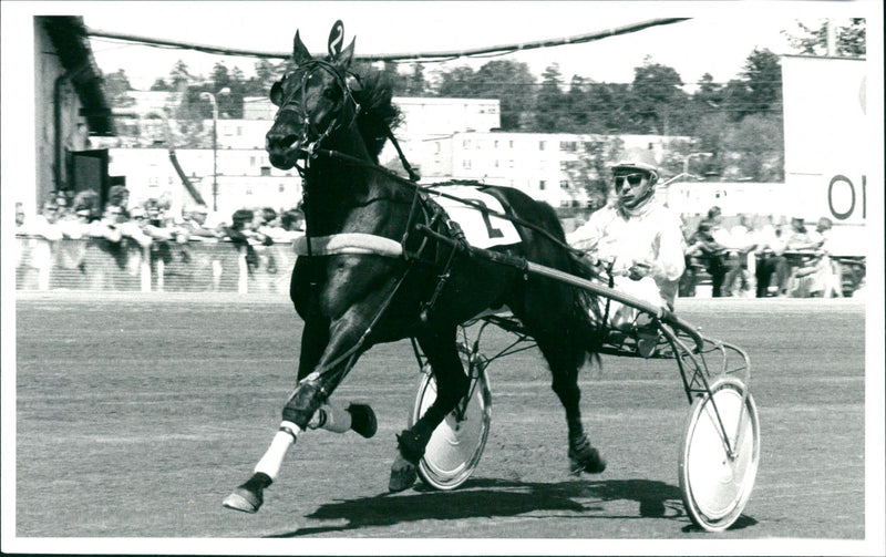 Equestrian - Vintage Photograph