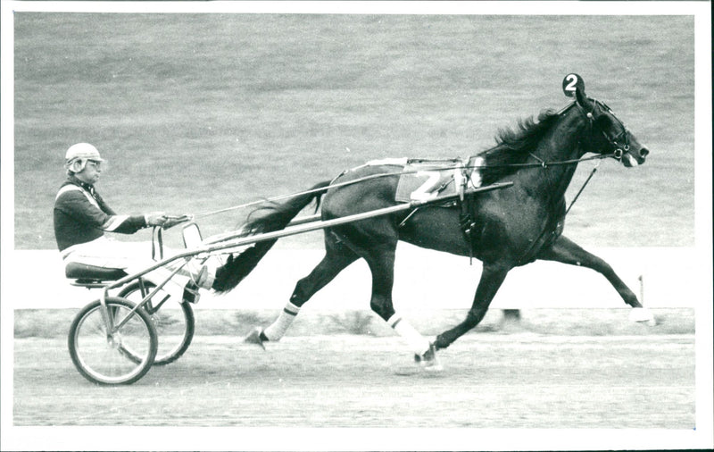 Equestrian - Vintage Photograph