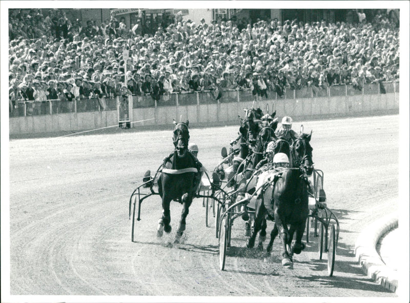Equestrian - Vintage Photograph