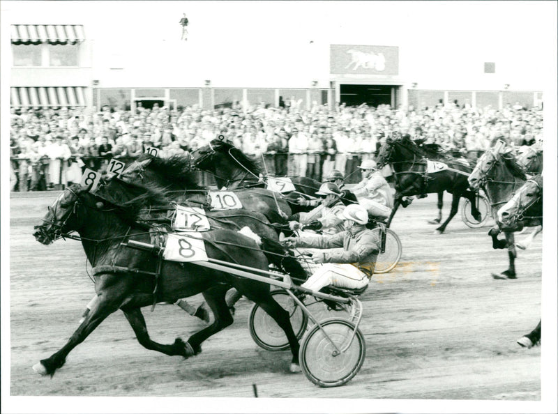 Equestrian - Vintage Photograph