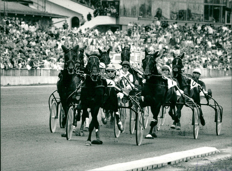 Equestrian - Vintage Photograph